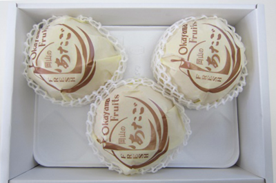 355贈答用 あたご梨４kg（3玉）