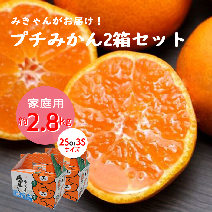 みきゃん」がお届け! プチみかん 2S～3Sサイズ 2.8Kg×2箱セット