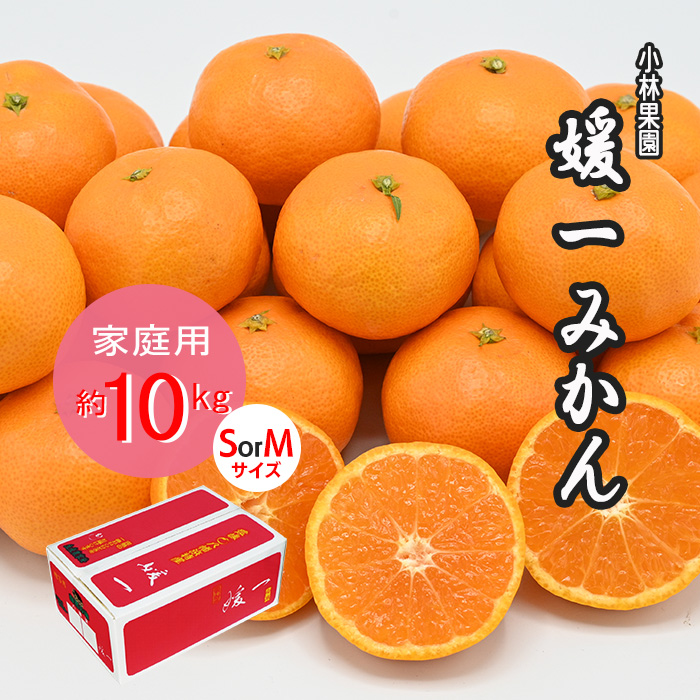 媛一みかんS-M玉-10kg赤箱