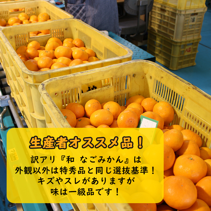 みなの共選 和 なごみかん S～Lサイズ（訳アリ）5kg】八協共選