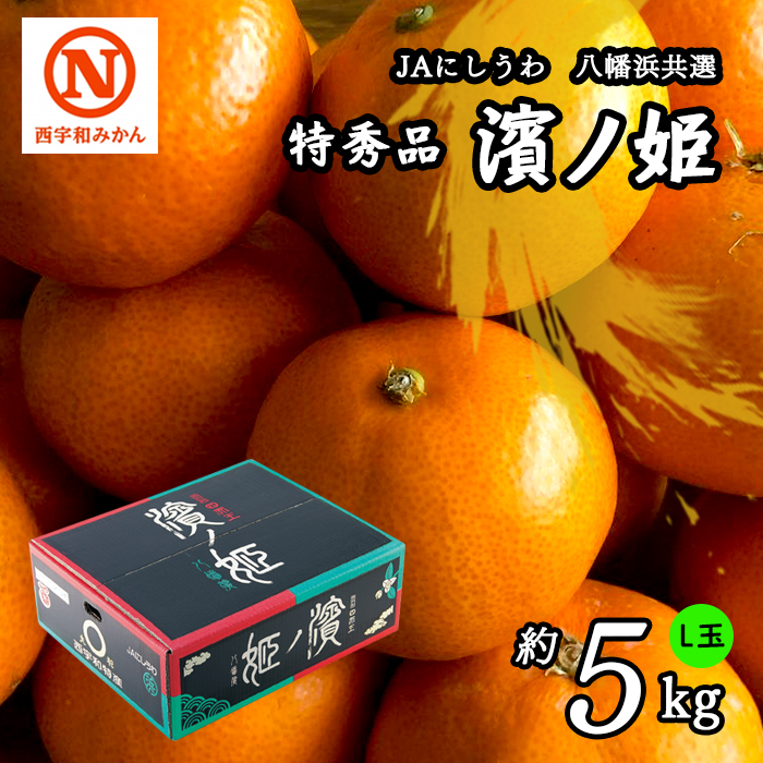 共選商品】濱ノ姫 L玉 5kg＜特秀品＞ | 媛一お取り寄せ市場