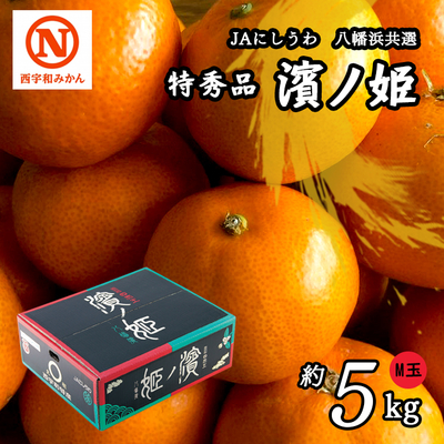 みかん 雨よけみかん・山北・はちきんキッス5kgSM