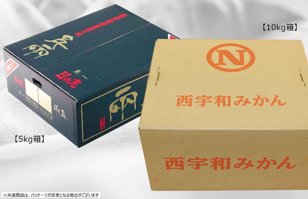 共選商品】千両 2S玉 10kg＜秀品＞ | 媛一お取り寄せ市場