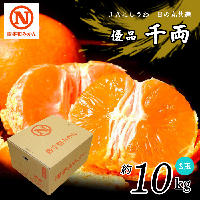 共選商品】千両 S玉 10kg＜優品＞ | 媛一お取り寄せ市場