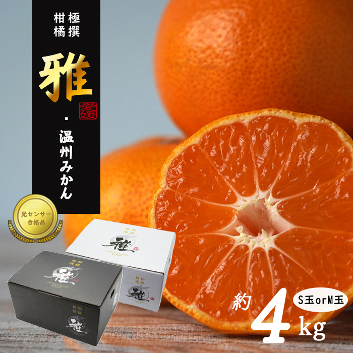 「みかん様専用」