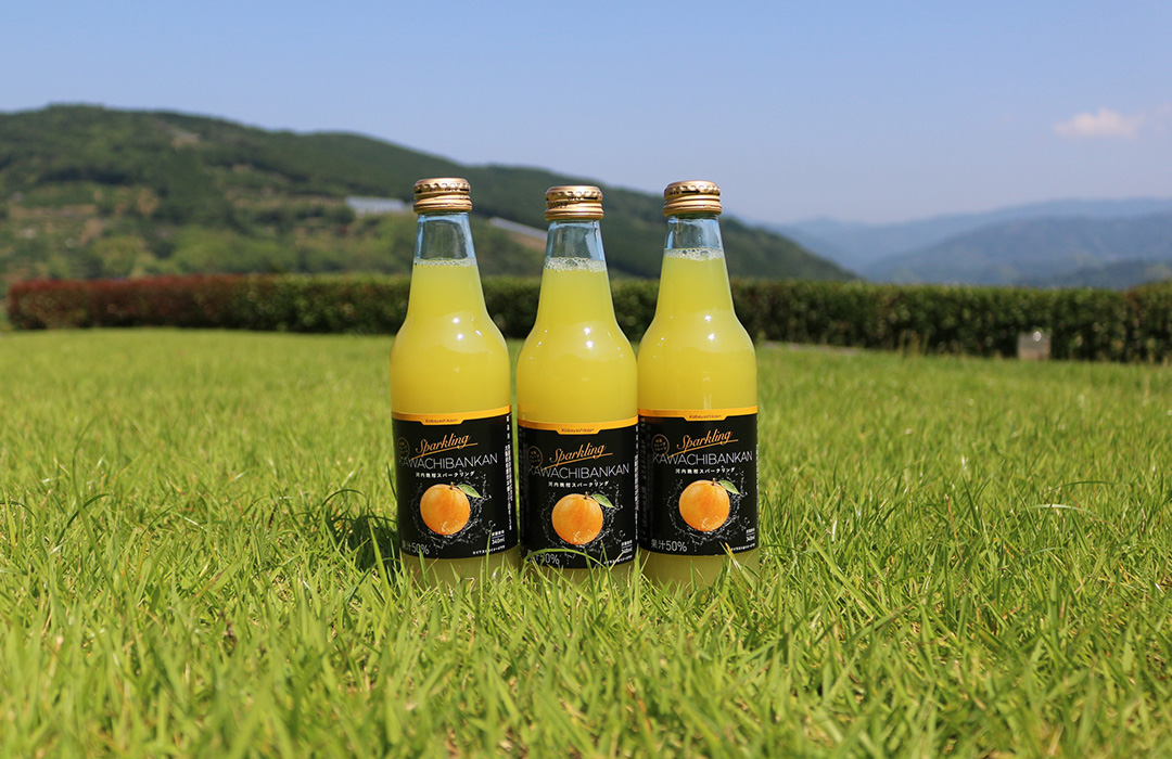 河内晩柑スパークリングジュース6本 | 媛一お取り寄せ市場