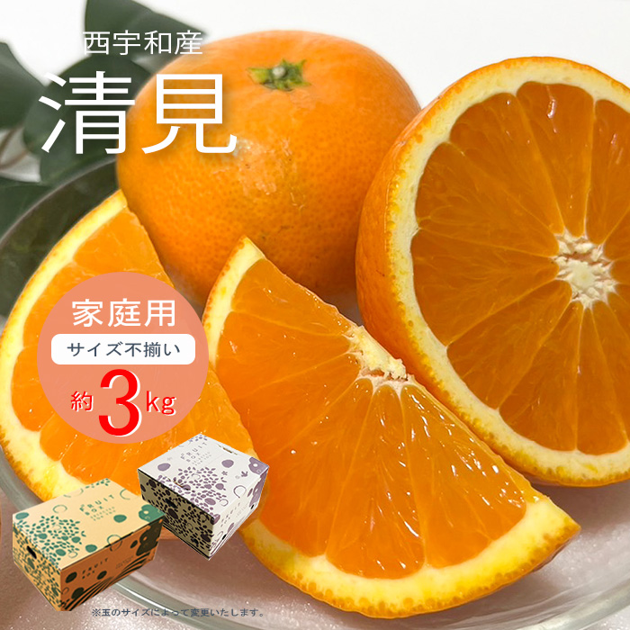 3月下旬頃～【清見(ご家庭用) 約3kg】小林果園 愛媛県 西宇和 八幡浜