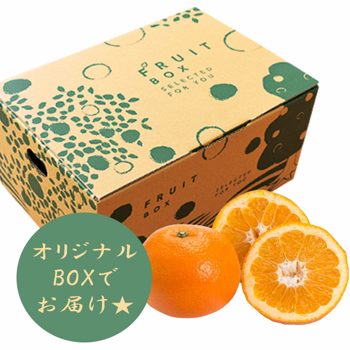 いよかん(ご家庭用) 約2.5kg】小林果園 愛媛県 西宇和 八幡浜 産地直送