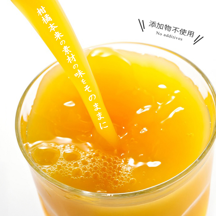 みかんジュース 500ml×12本入 伯方果汁 愛媛 ストレート 無添加