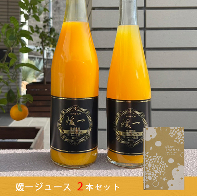 【媛一ジュース(みかん+まどんな) 2本セット】小林 愛媛県西宇和産100％ストレートジュース お中元 御中元