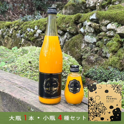 【媛一みかんジュース大瓶＆小瓶セット】（大瓶1本+小瓶4本）小林果園 愛媛県西宇和産100％ストレートジュース ギフト お中元 御中元