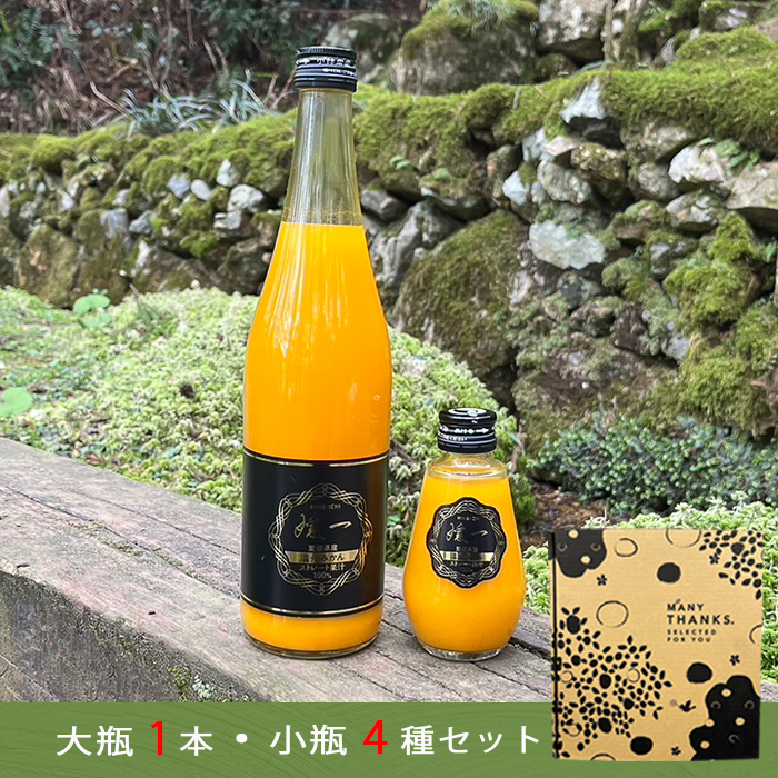 みかんジュース　【４袋】　４リットル　オレンジジュース　柑橘ジュース 000000000034-01-xl.jpg?t=
