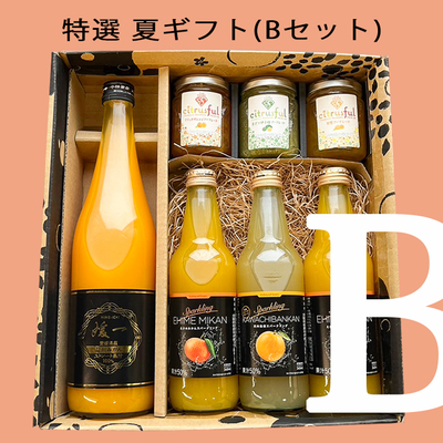 【特選 夏ギフト（Bセット）】 無添加 ストレート果汁100% みかん ジュース ギフト お中元 御中元 詰め合わせ