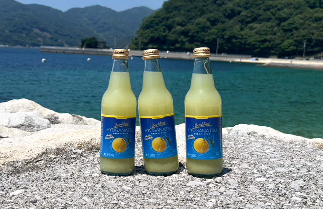 10周年特別価格!!】【日向夏スパークリングジュース 6本セット