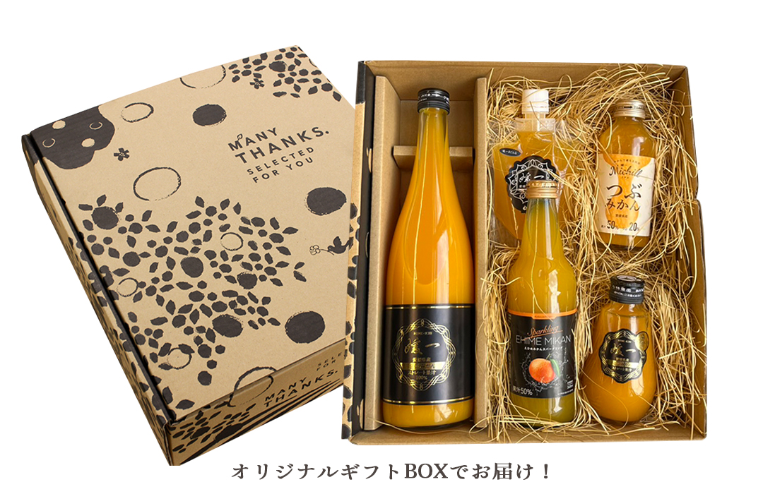 みかんの瓶詰め10本 みかんの瓶詰め10本