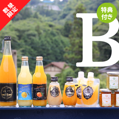 【10周年特別価格!!】【媛一バラエティBOX　Bセット】 無添加 ストレート果汁100% みかん ジュース ギフト 詰め合わせ