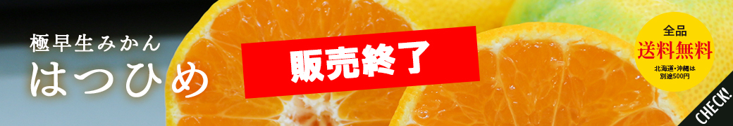 次へ