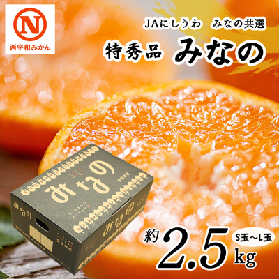 【共選商品】みなの S玉～L玉 2.5kg＜特秀品＞