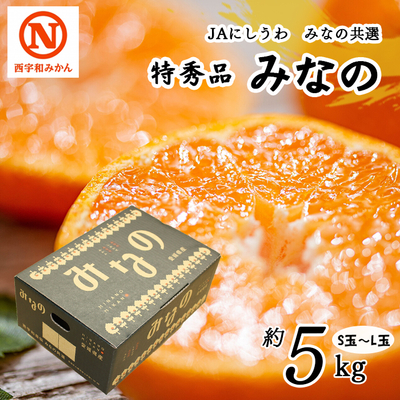 【共選商品】みなの S玉～L玉 5kg＜特秀品＞