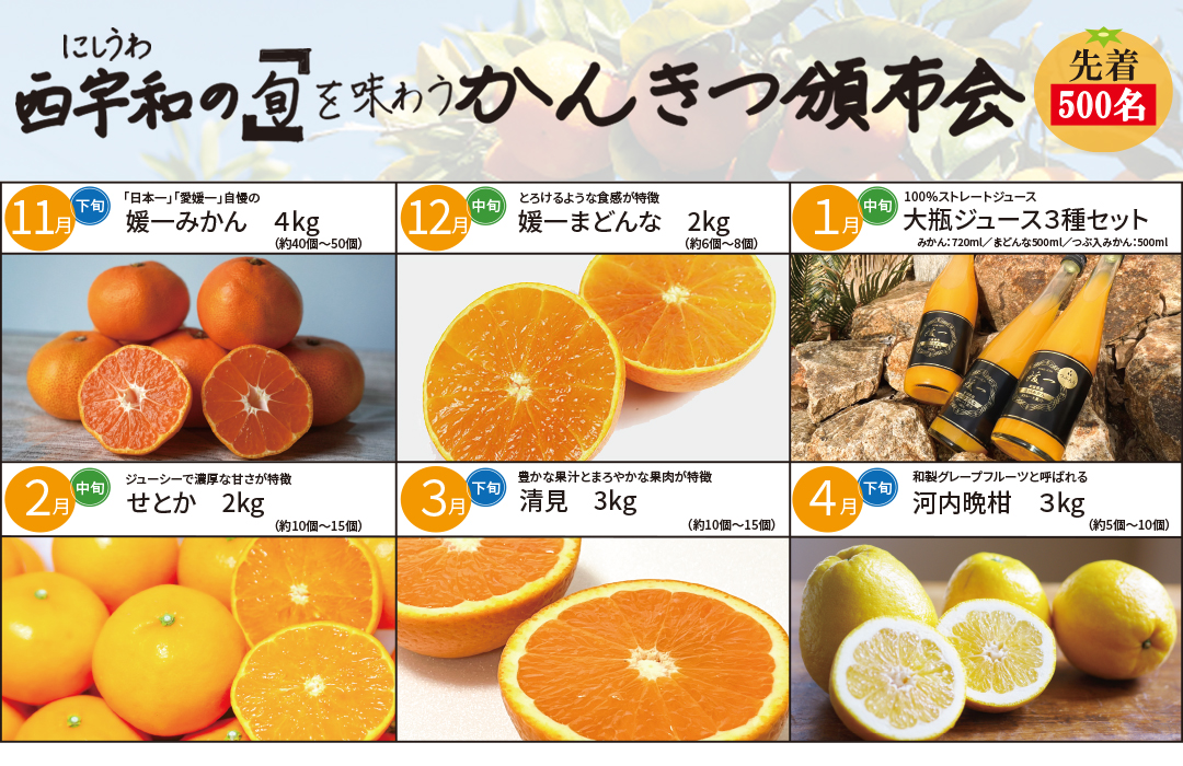 一括払い】西宇和「旬」を味わう頒布会2025-2026【6か月コース】 | 媛
