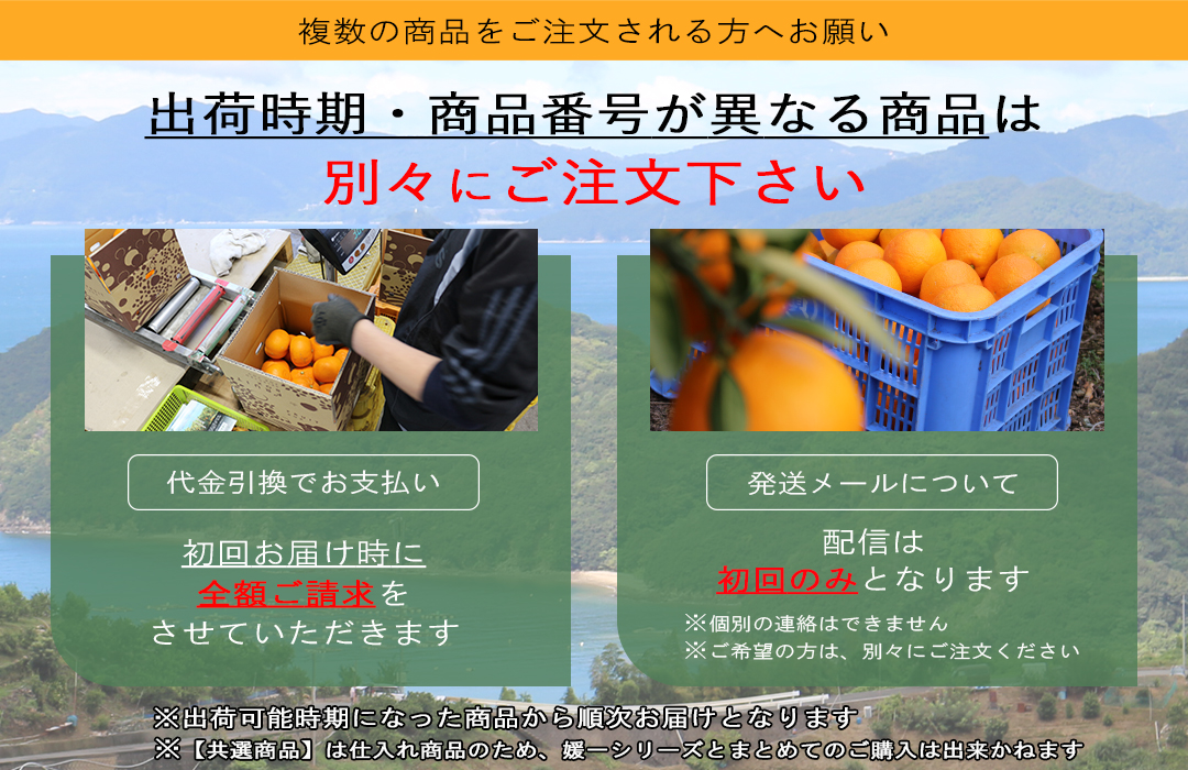 特選 冬ギフト2025 | 媛一お取り寄せ市場