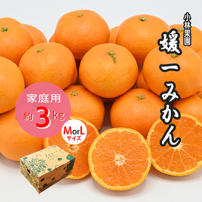 【予約商品】媛一みかん M玉/L玉 3kg＜ご家庭用＞