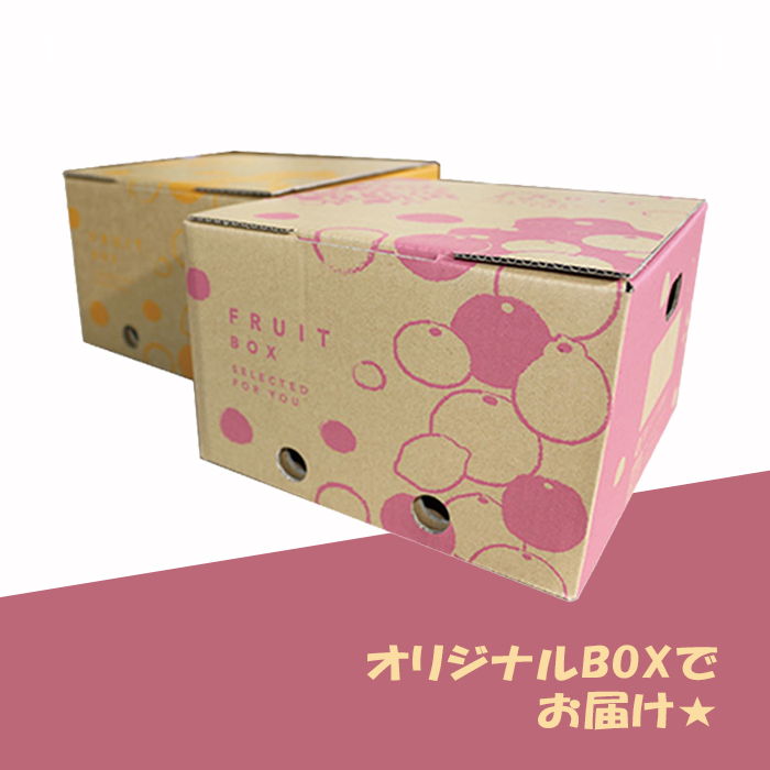 2月上旬出荷開始予定】おまかせ春かんきつ2種セット 各1.5kg | 媛一お