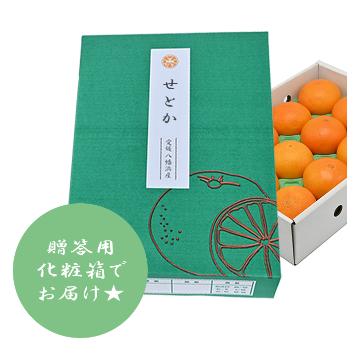 2月中旬頃出荷開始予定】せとか 約2.5kg＜贈答用＞ | 媛一お取り寄せ市場