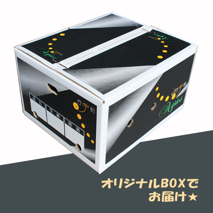 いよかん約9kg＜家庭用＞ | 媛一お取り寄せ市場