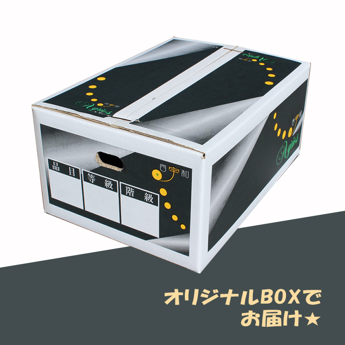 予約商品】河内晩柑の食べ飲み比べセット | 媛一お取り寄せ市場