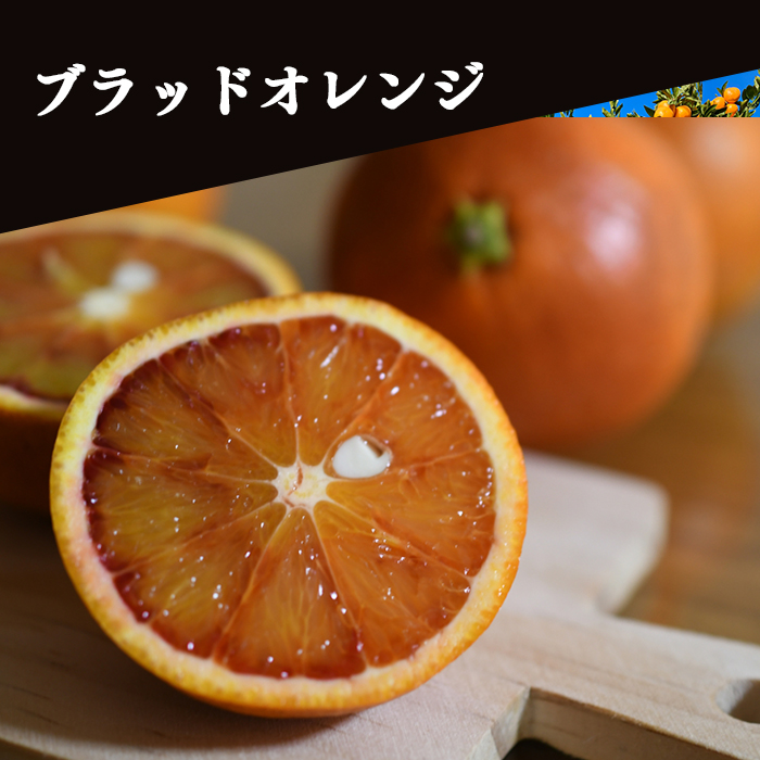 ブラッドオレンジ 約2.5kg＜家庭用＞ | 媛一お取り寄せ市場
