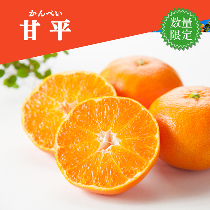 数量限定】甘平 約3kg＜家庭用＞ | 媛一お取り寄せ市場