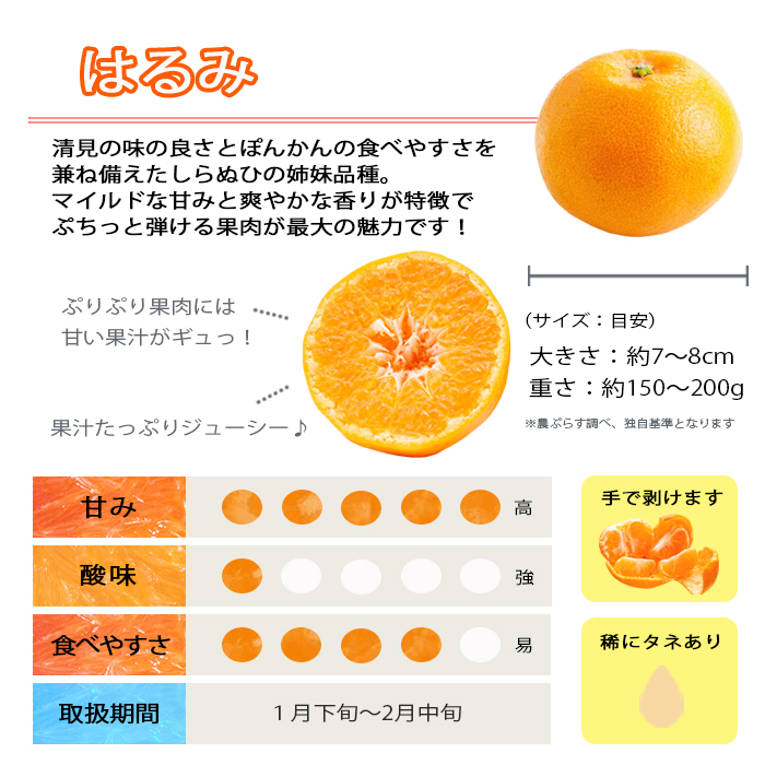 はるみ 約2.5kg＜家庭用＞ | 媛一お取り寄せ市場