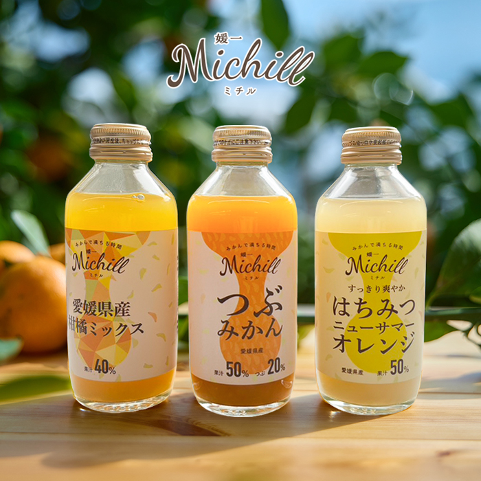【Michi】みかんジュース1000ｍｌ×12本×２個口発送 Michill4本セット | 媛一お取り寄せ市場