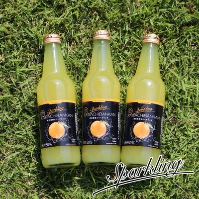 河内晩柑スパークリングジュース６本