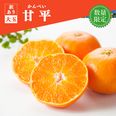 【数量限定】甘平 約４kg＜訳アリ品：大玉サイズ＞