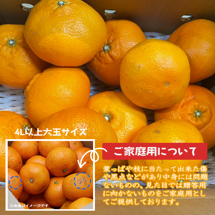 甘平　訳あり9.9kg 箱込み 訳あり甘夏5」【送料無料】【産地直送】愛媛西宇和産甘夏 訳あり5kg