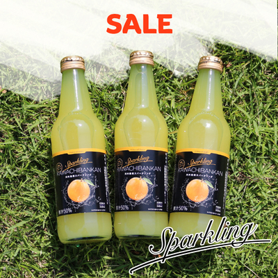 【訳アリSALE】【賞味期限2026年10月15日】河内晩柑スパークリングジュース６本