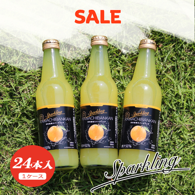 【訳ありSALE】【賞味期限2026年10月15日】河内晩柑スパークリングジュース 24本