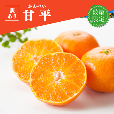【在庫限り】【訳アリ商品】甘平 約４kg
