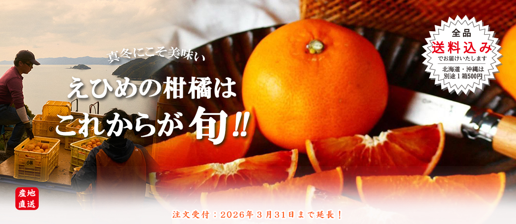 えひめの柑橘はこれからが旬！2026 | 媛一お取り寄せ市場