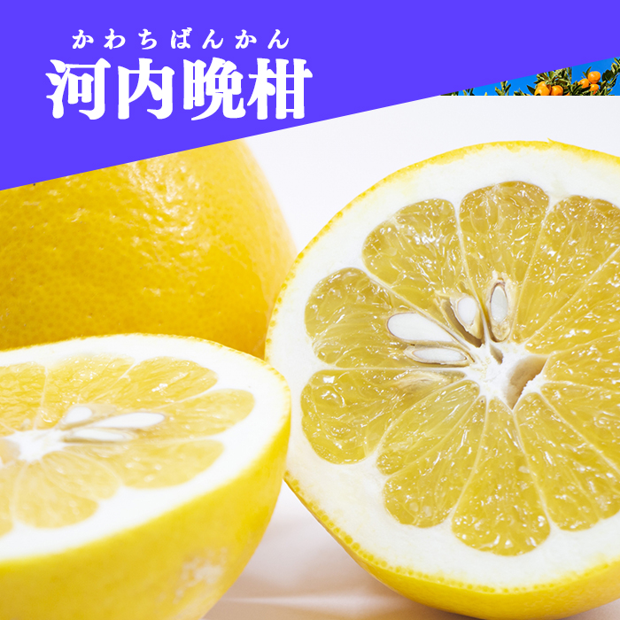 ②⓪sonotoki様☘️無農薬☘️河内晩柑☘️ 【公式通販】