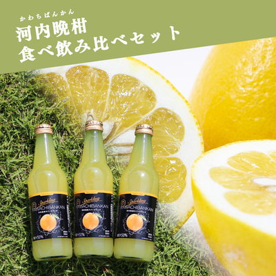 【予約商品】河内晩柑の食べ飲み比べセット