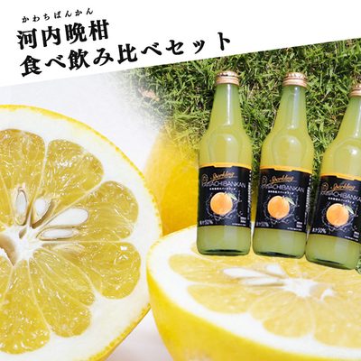 【予約商品】河内晩柑の食べ飲み比べセット