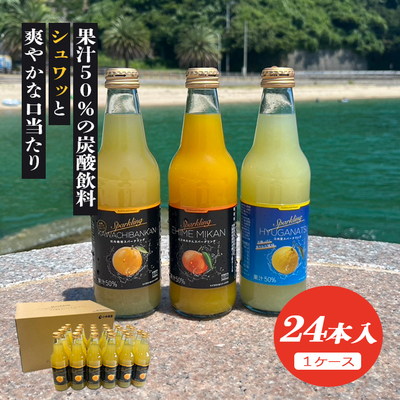 スパークリングジュース 24本
