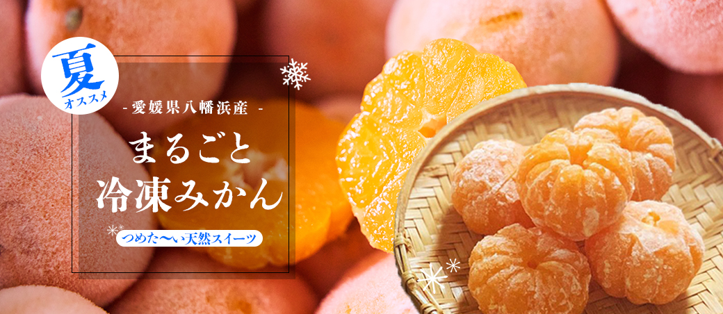 農業生産法人 小林果園 媛一お取り寄せ市場 他では食べられない珍しい