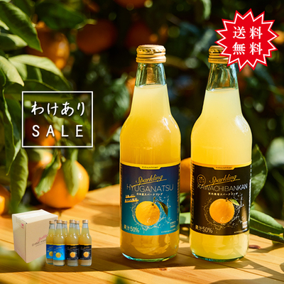【SUMMER SALE】【賞味期限2026年10月or2027年1月】スパークリングジュース　2品種&times;各3本セット
