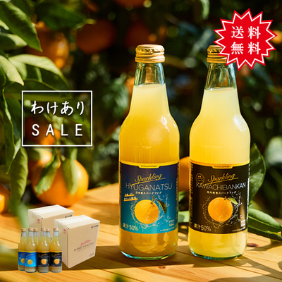 【SUMMER SALE】【賞味期限2026年10月or2027年1月】スパークリングジュース　2品種&times;各6本セット
