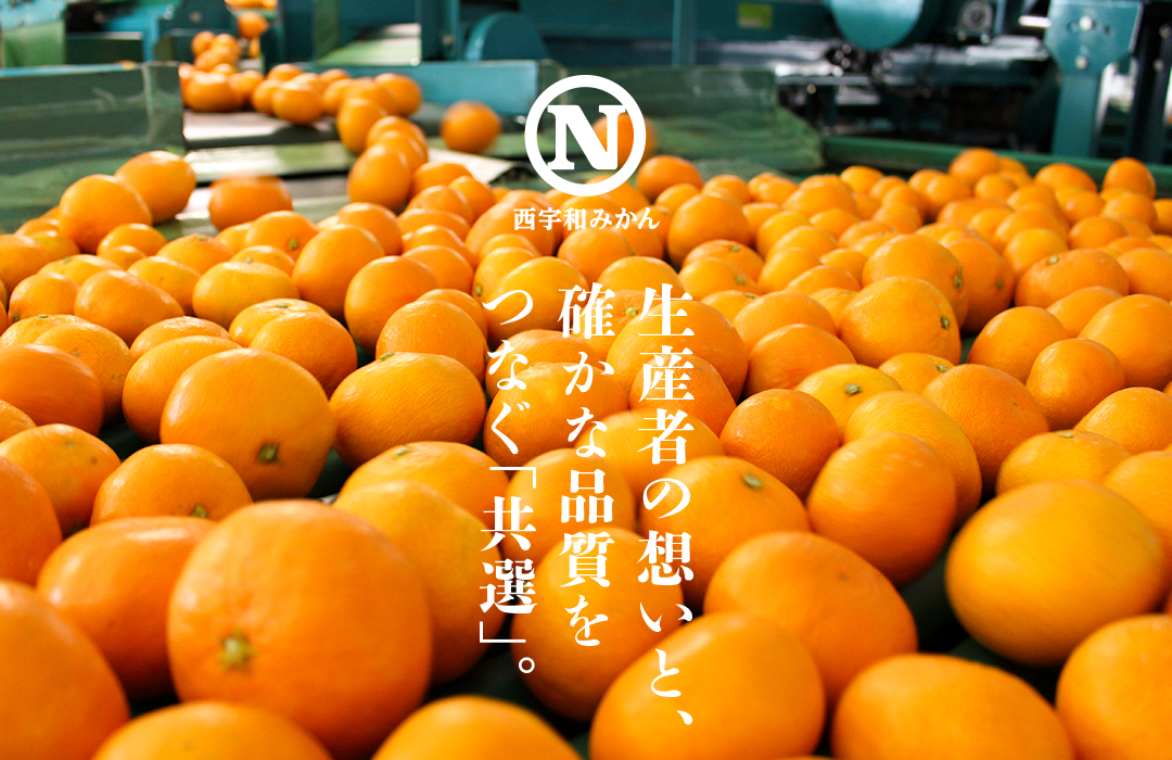 共選商品】＜特秀品＞みなの 5kg | 媛一お取り寄せ市場