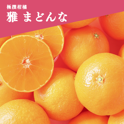 西宇和産かんきつ各種 | 媛一お取り寄せ市場